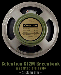 Click for full info and shot of the excellent Celestion G12M x 2 in Super 30 Cab